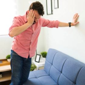 Rolul sistemului vestibular in controlul echilibrului